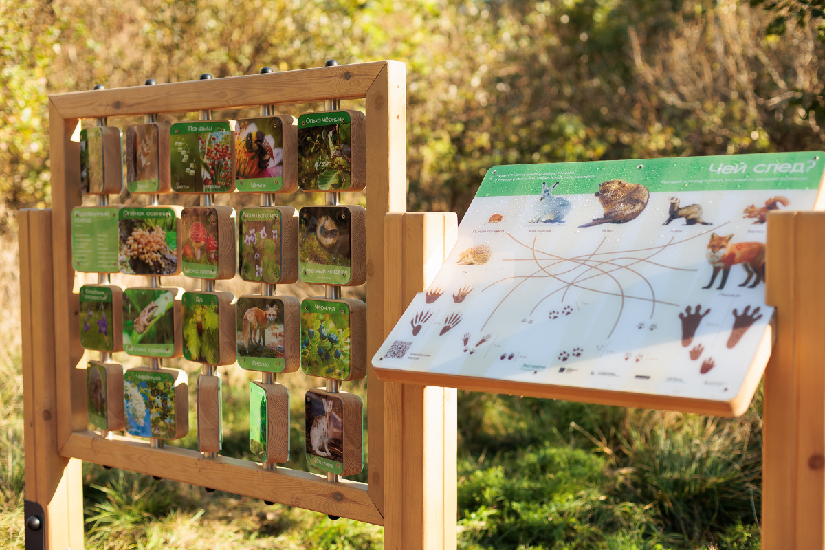 Стенды для детей, которые будут интересны и взрослым!