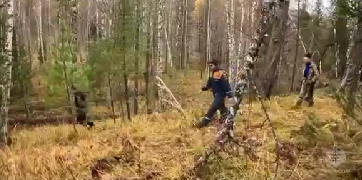 Скриншот из видео.