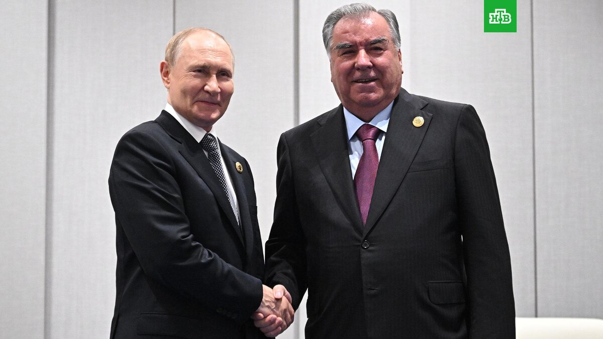    Фото: РИА Новости © 2025, Сергей Бобылев