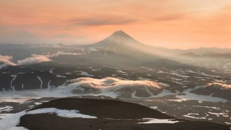    Фото: Olga Gavrilova/Shutterstock/Fotodom