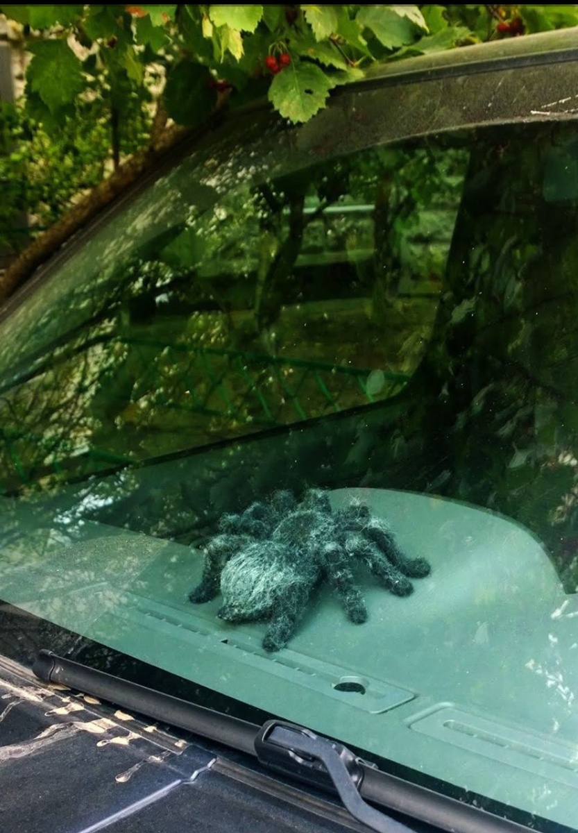 Паучок автомобильный