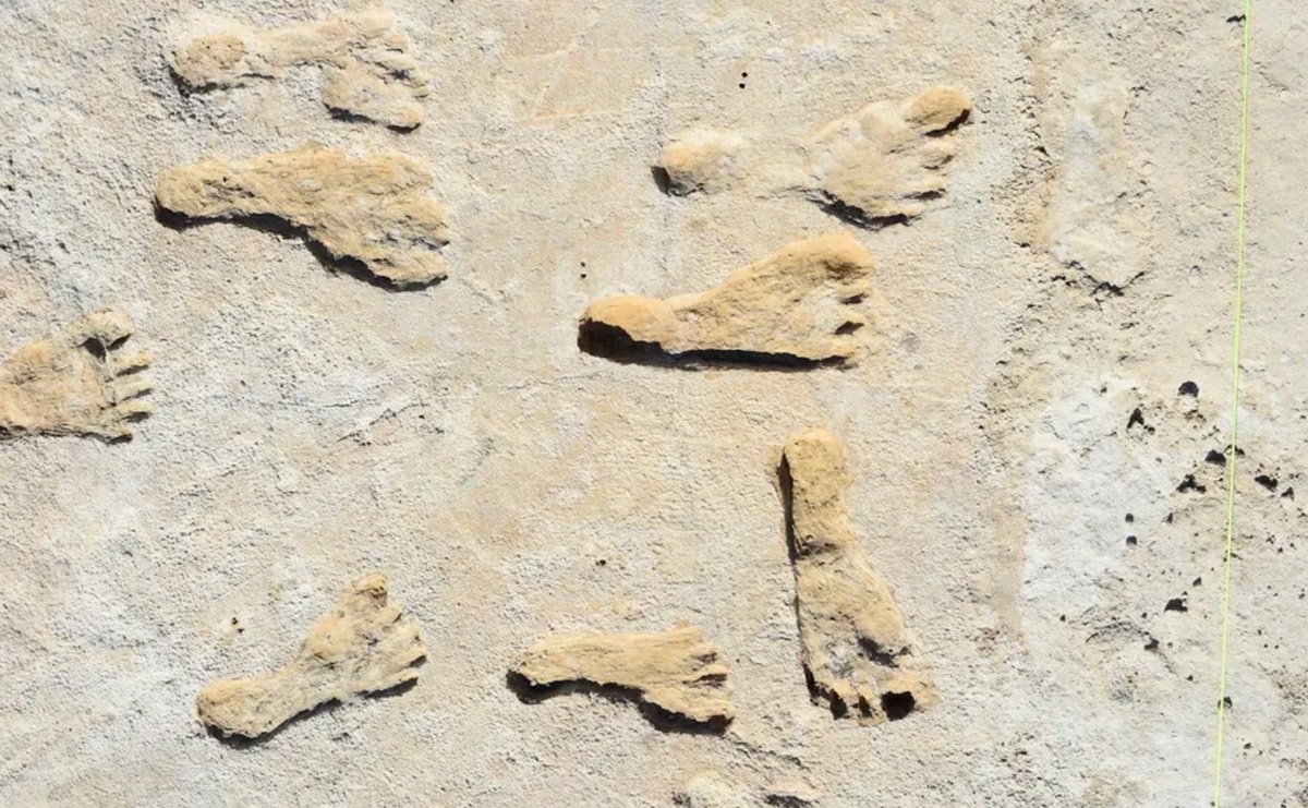    Окаменелые следы древних людей на американском континенте. Источник изображения: Live Science