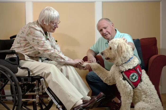 Credit:  Getty Images / Yellow Dog Productions