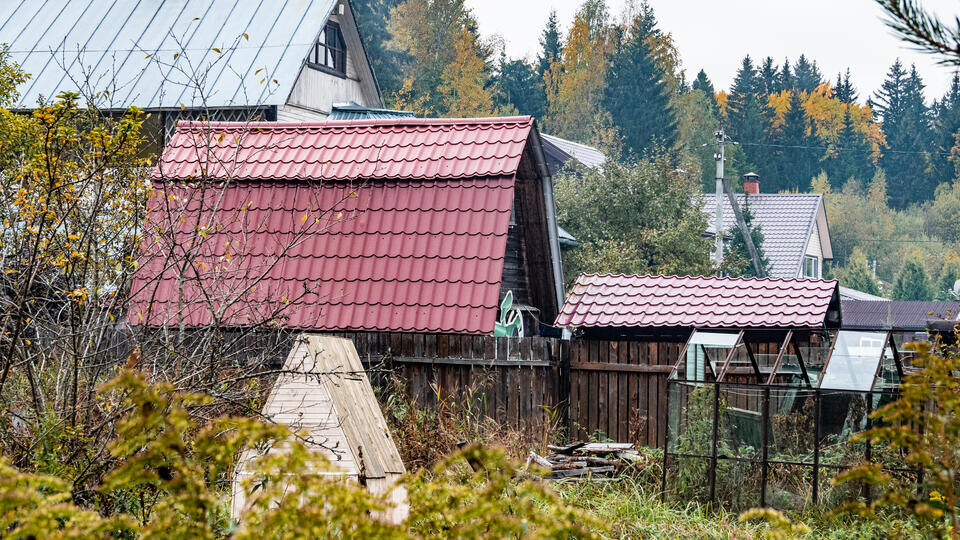     Почему зумеры начали массово уезжать из городов и скупать старые дачи ИЗВЕСТИЯ/Константин Кокошкин