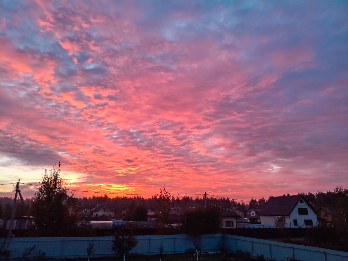 Фото не передаёт все красоты....вся деревня розовая🌸🌸🌸