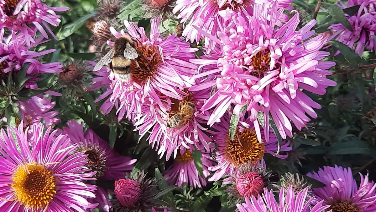 4 октября 2025г