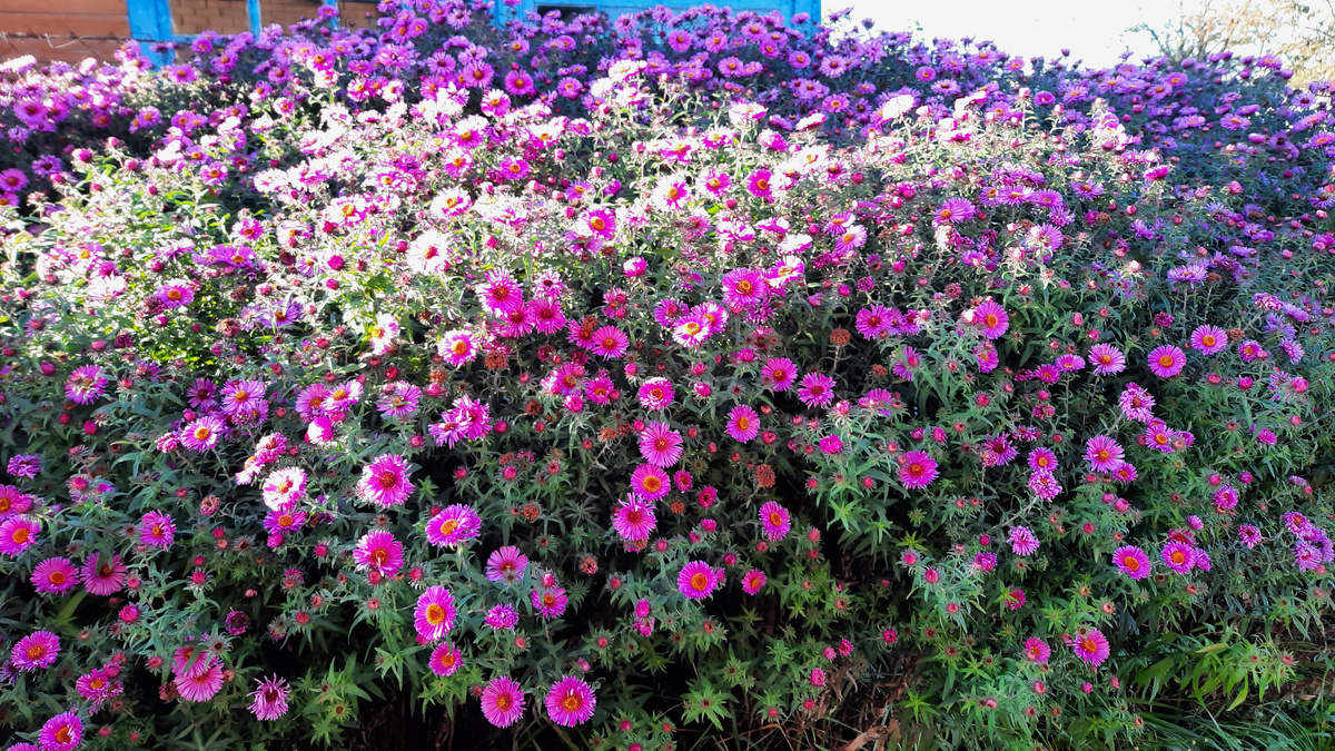 4 октября 2025г