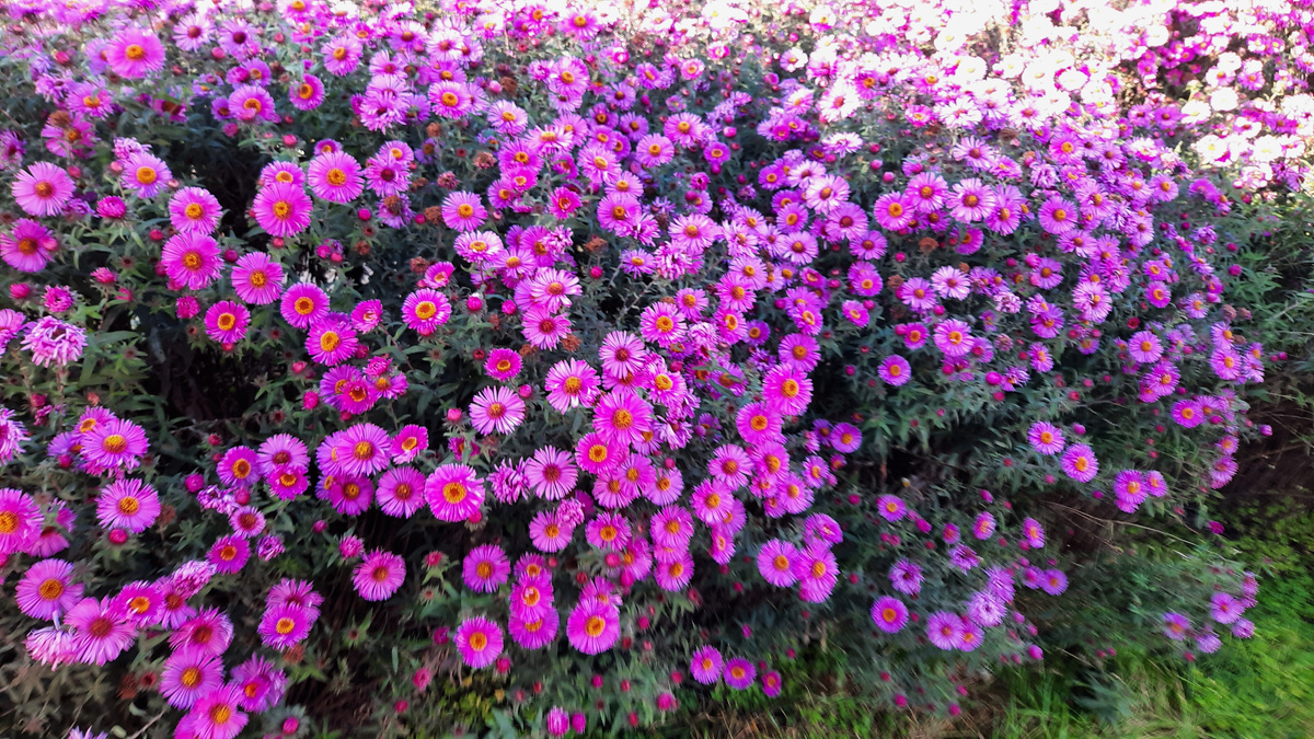 4 октября 2025г