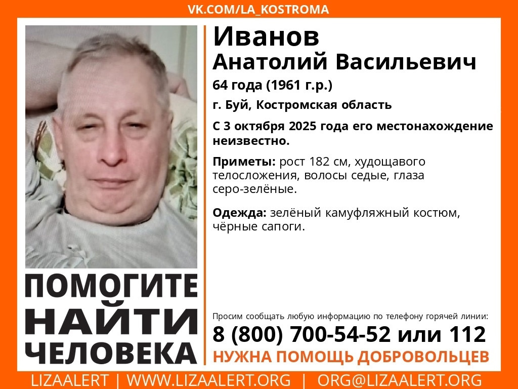   Фото: п/о «ЛизаАлерт»