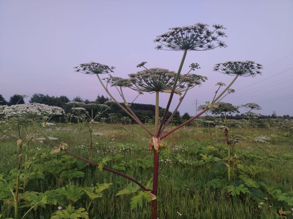    Фото: v-kurse.ru Ольга Гилёва