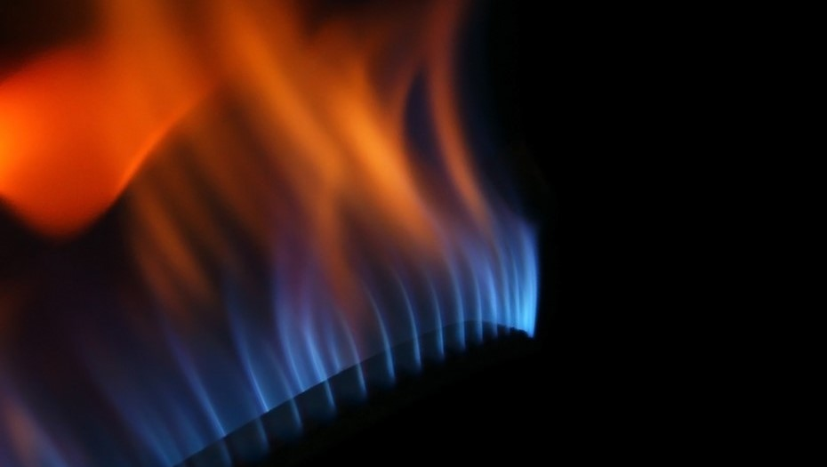 Автор фото: photoxpress / "Деловой Петербург"