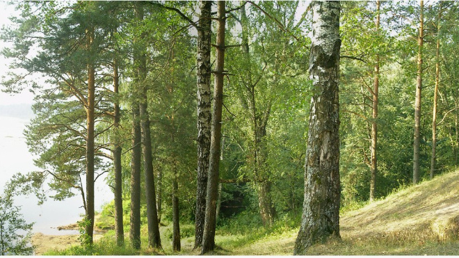 Фото: photo.gradpetra.net