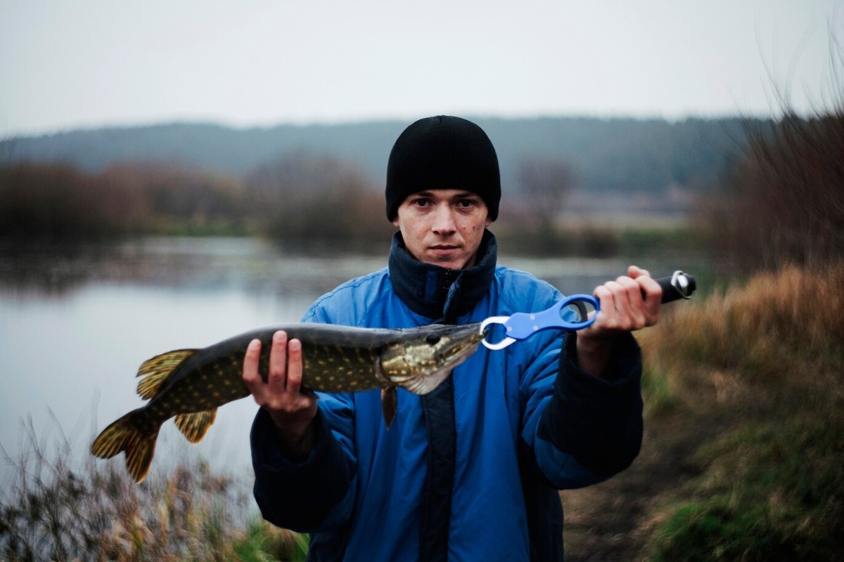    Фото: freepik. com