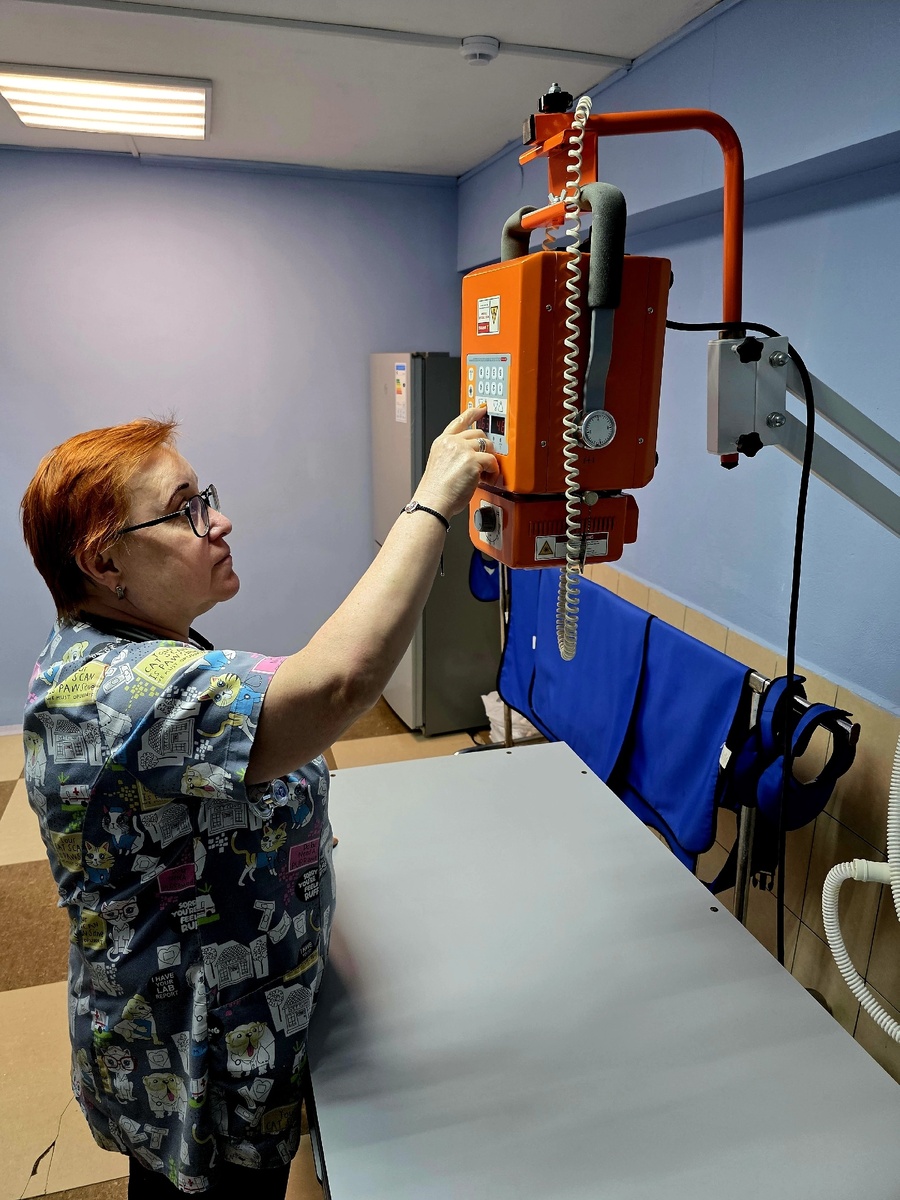 Рентген животным в Калуге. Ветклиника Жизнь.