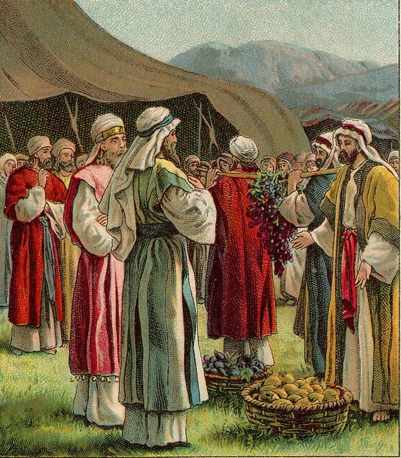 Ханаан Израильские соглядатели побывали в земле обетованной.