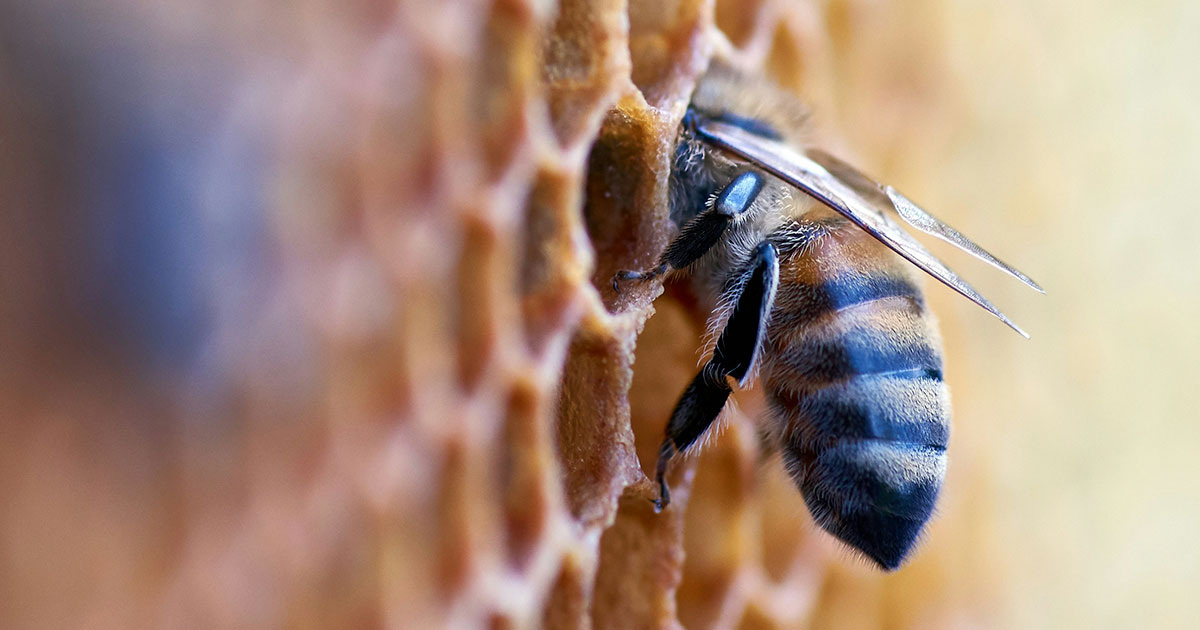 Wolfgang Hasselmann / Unsplash