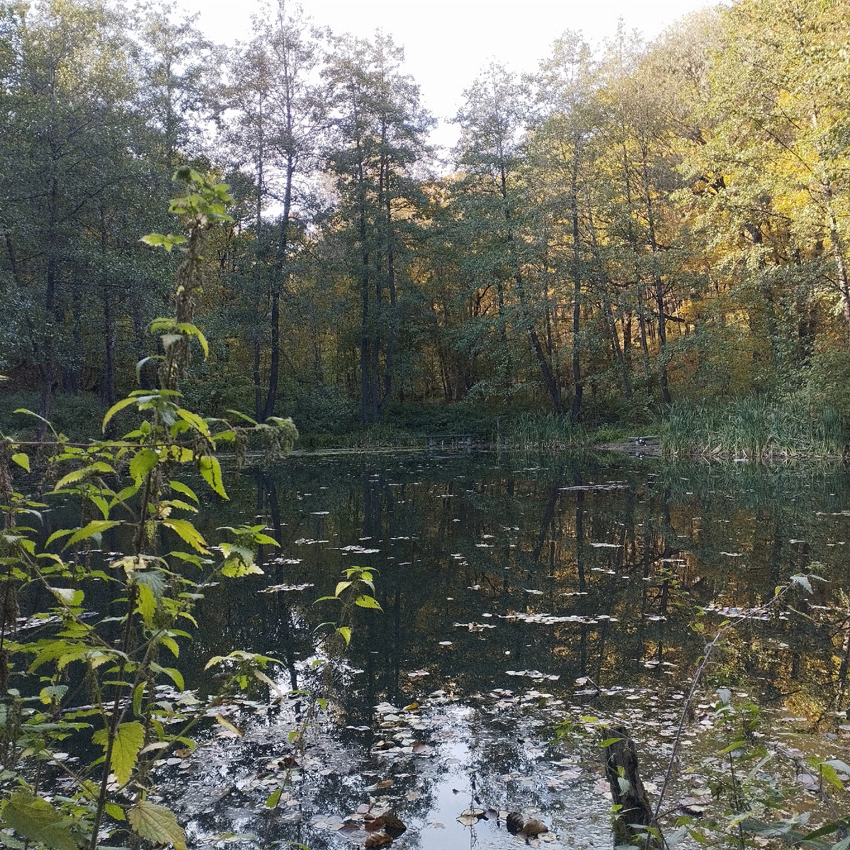 Солдатское озеро.