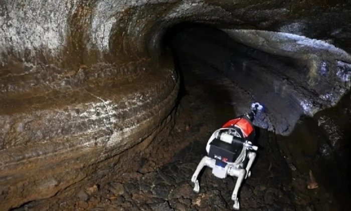    Китай испытывает роботов-собак для будущих миссий на Луну