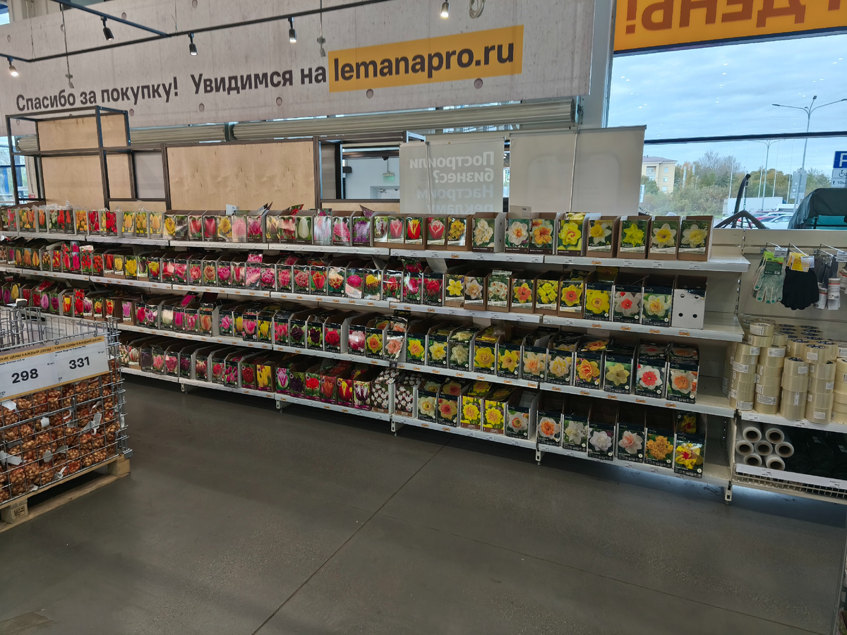 Большой выбор луковиц в ЛеманаПРО Санкт Петербург 