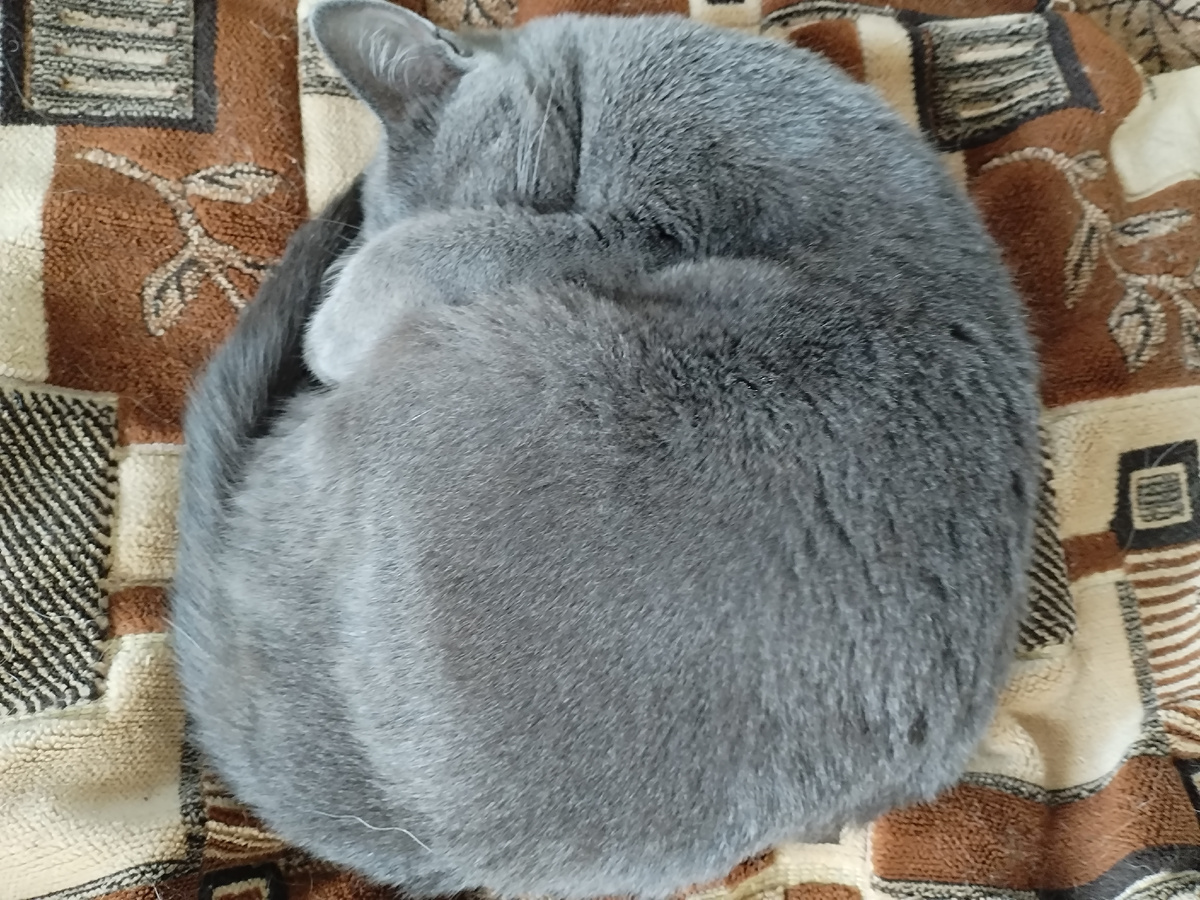 Идеальный шар