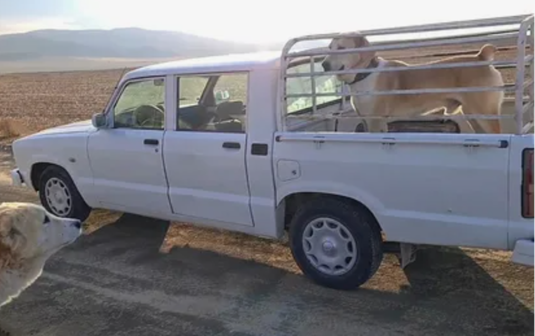 Случайное фото из интернета.