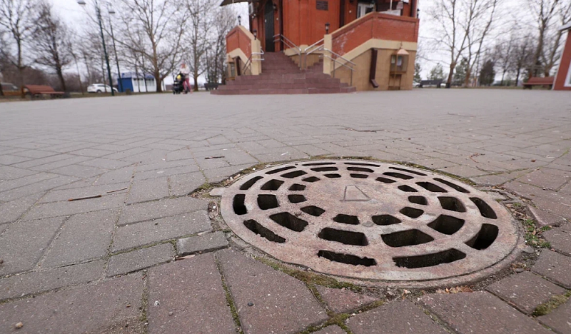    Фото: пресс-служба администрации Краснодара