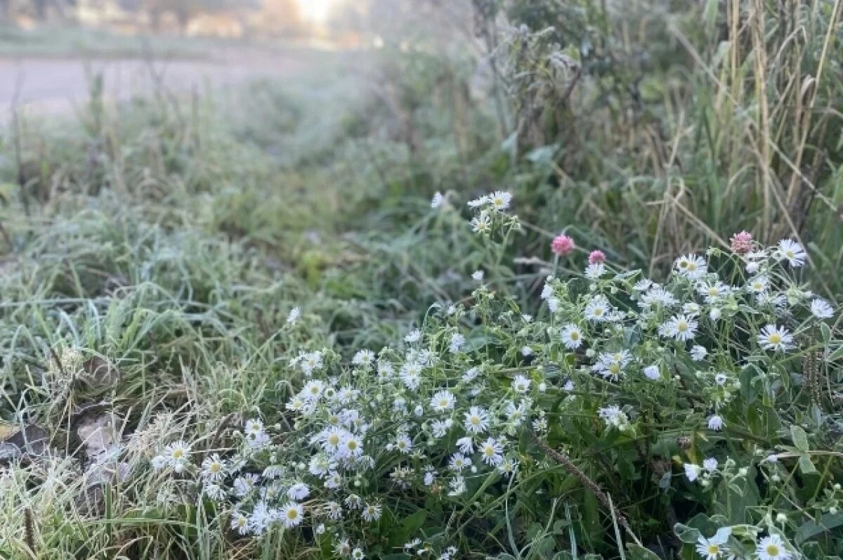    Красноярцев ждет неделя с мокрым снегом и ночными заморозками