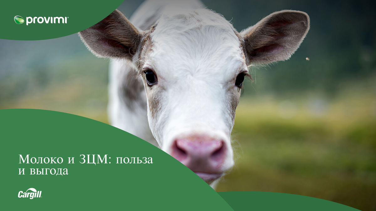 Татьяна Зимина