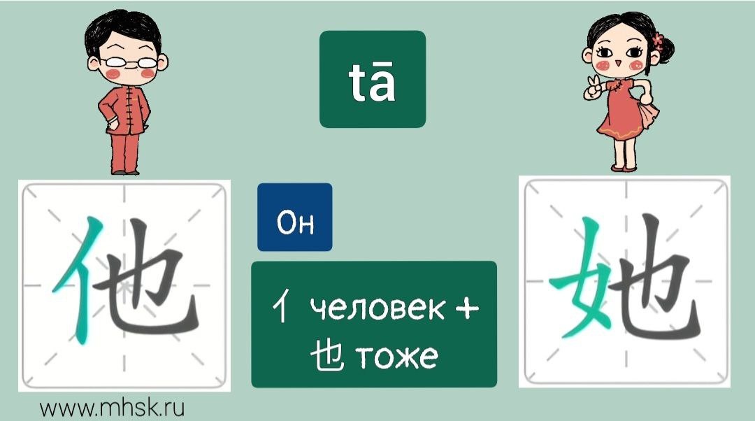 ИЕРОГЛИФЫ 他 tā ОН и 她 tā ОНА