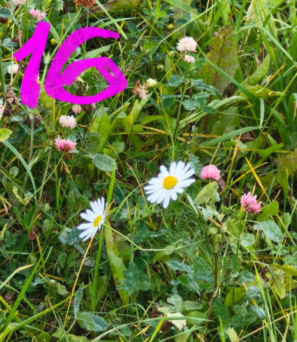 Фотоколлаж - собственность автора канала "ТАК НАДО".