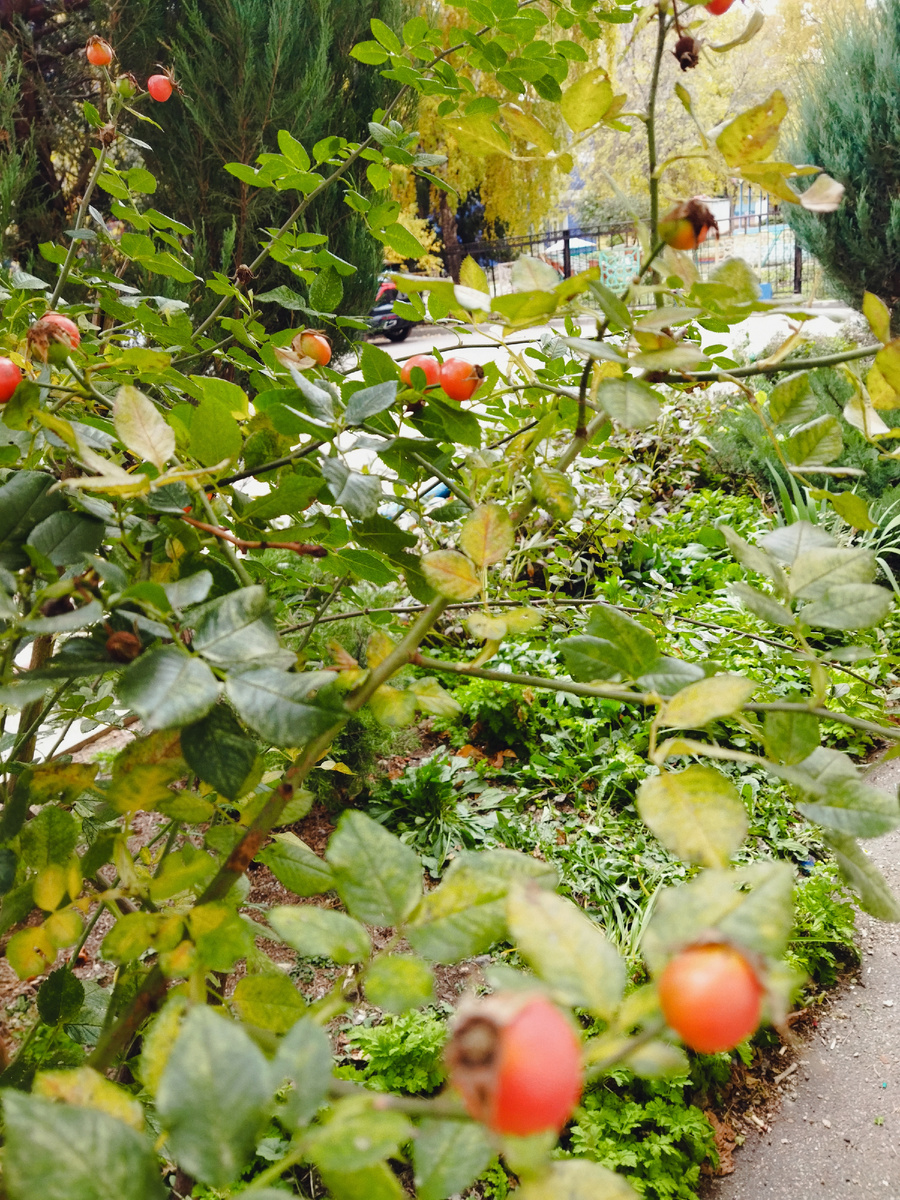 Фото автора