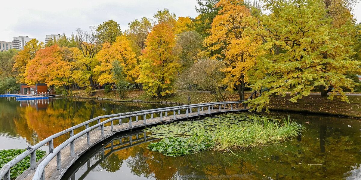 Вдохновляющий гид по самым красивым паркам Москвы осенью: где увидеть 
золотую листву, куда пойти на прогулку, лучшие места для фотосессий, когда приходит 
пик золотой осени, что взять с собой