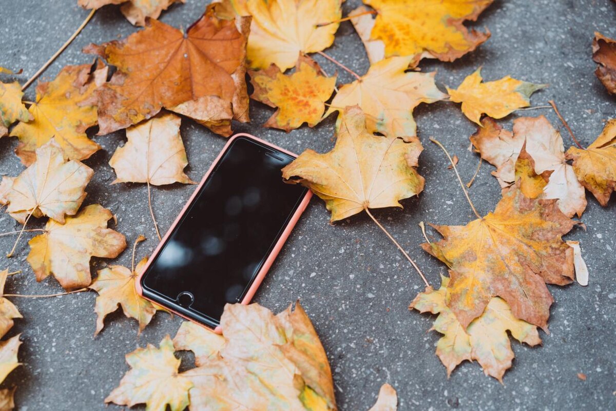    Айфон. 123RF/legion-media.ru