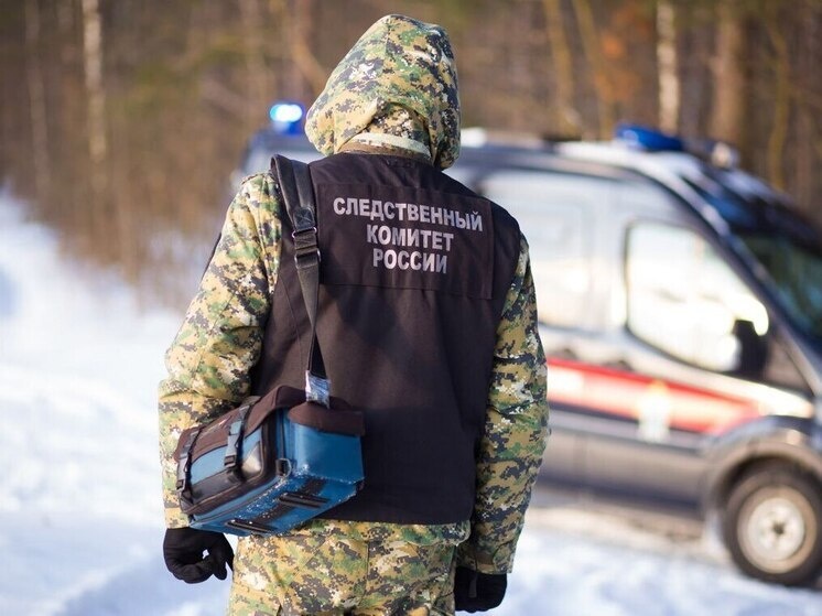 Источник фото: https://tver.mk.ru/incident/2025/10/02/v-tverskoy-oblasti-migrant-zadushil-zhenshhinu-shnurom-ot-zaryadki-a-posle-pokhitil-ee-dengi-i-telefon.html