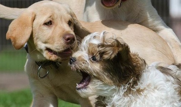 На прогулке