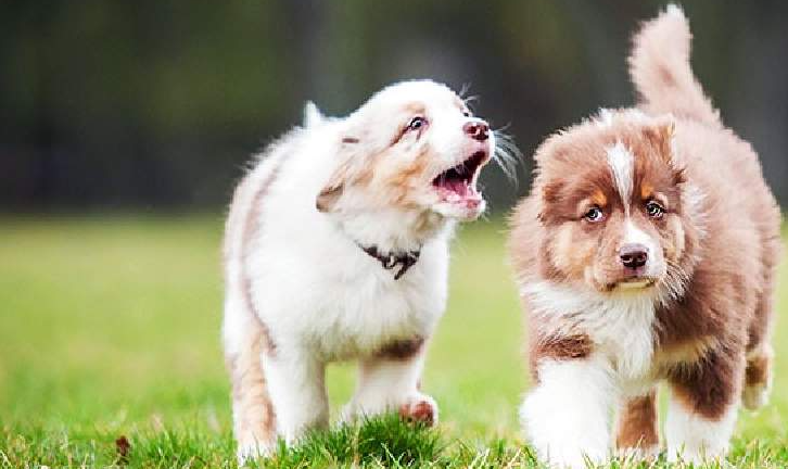 Пошли играть!!!