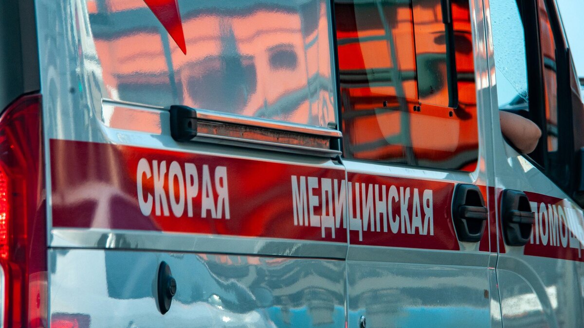    Фото: Svetlana Vozmilova/globallookpress.com