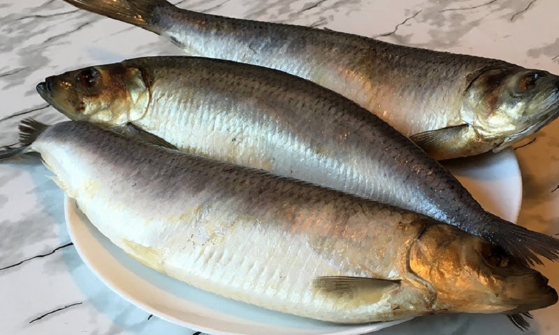 Северная малосольная сельдь: деликатес за три дня, который удивит вкусом