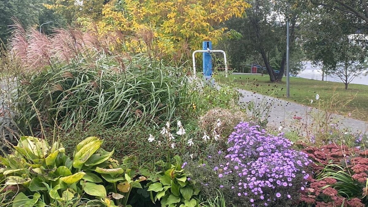 фото автора канала