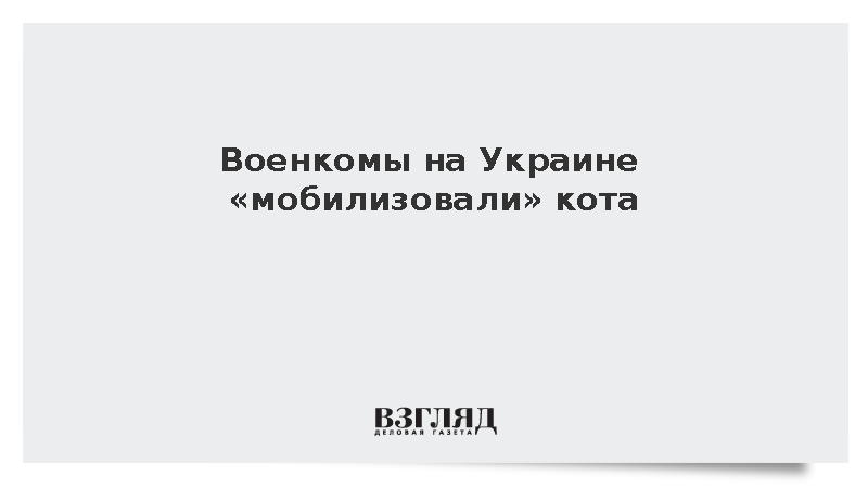     Текст: Дарья Григоренко