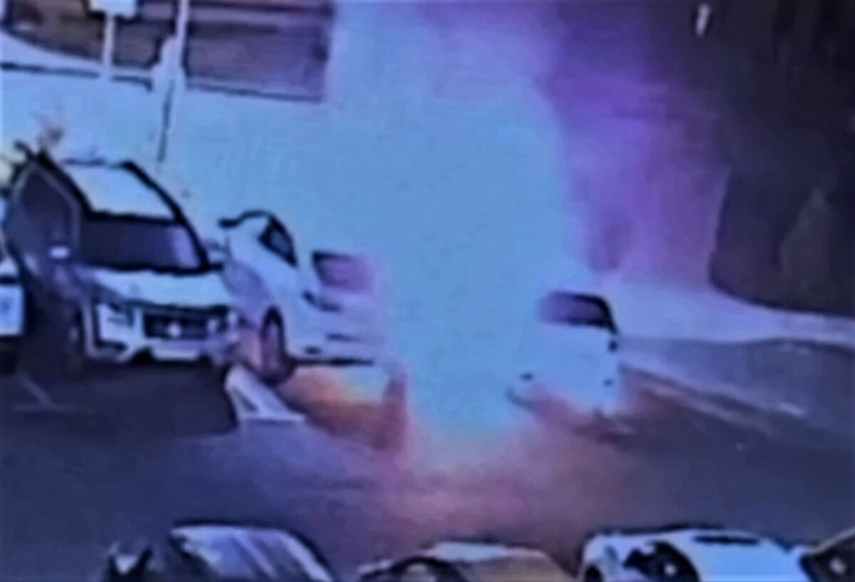     / Источник: Кадр из видео