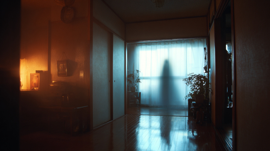    Фото: 5-tv.ru