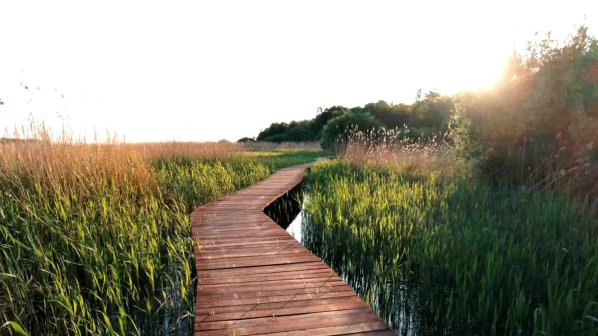 деревянные настилы, которые ведут прямо вдоль берега, цветущие поляны и невероятные закаты над заливом