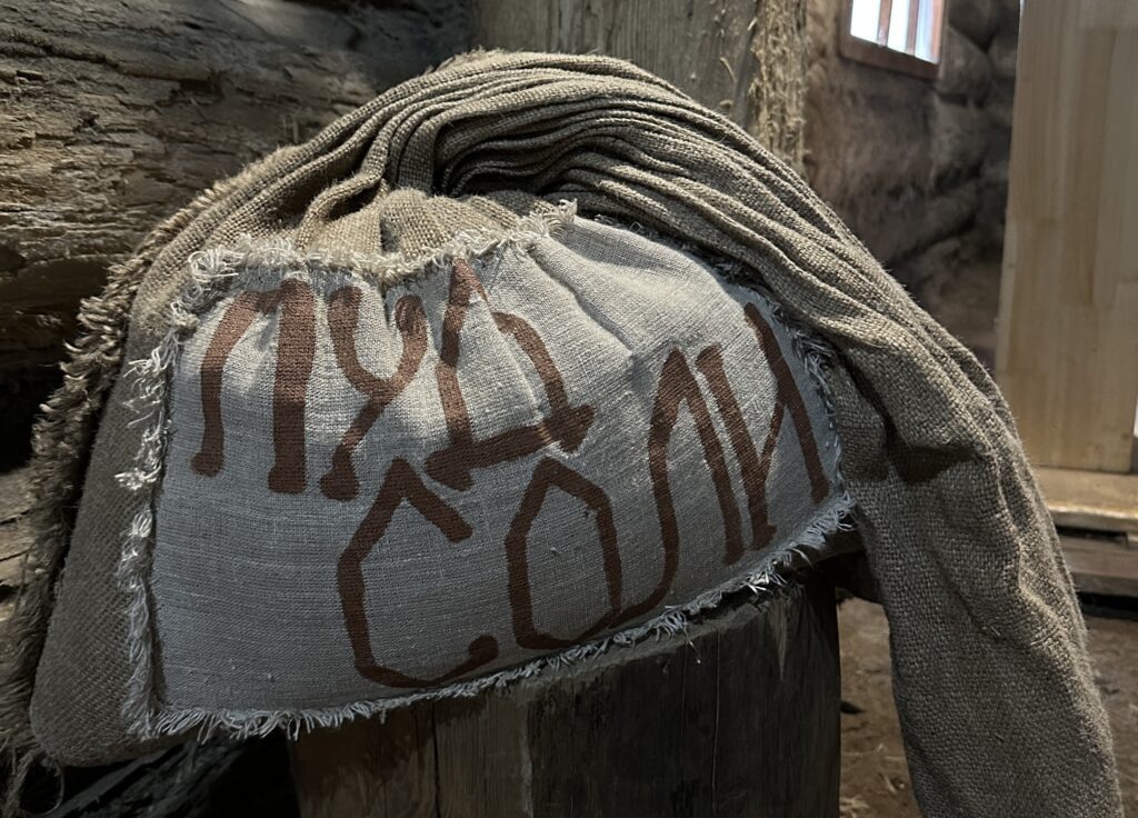    Фото: v-kurse.ru Ольга Гилёва