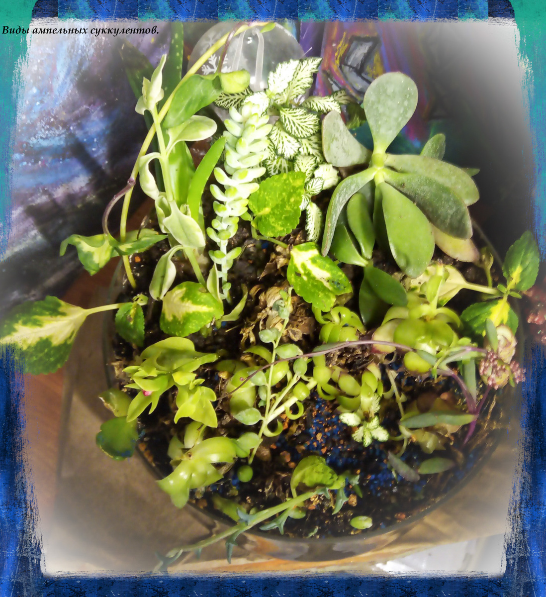 Фото автора.