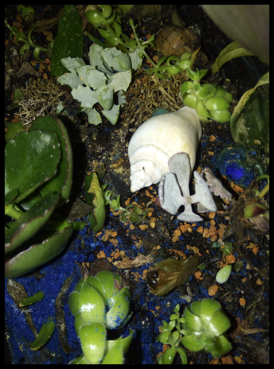 Фото автора.