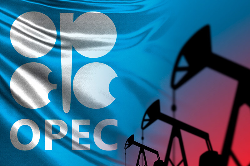    Shutterstock/FOTODOM