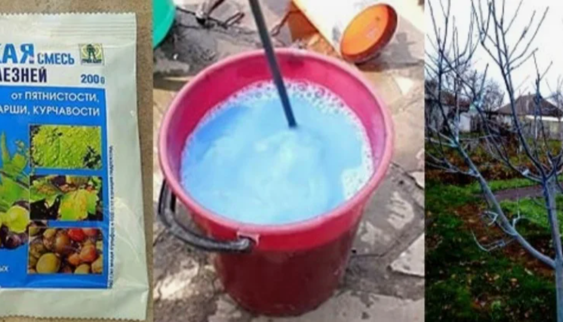 бордовская смесь