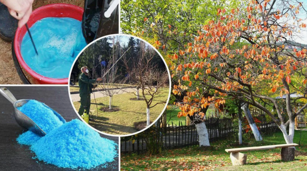 медный купорос