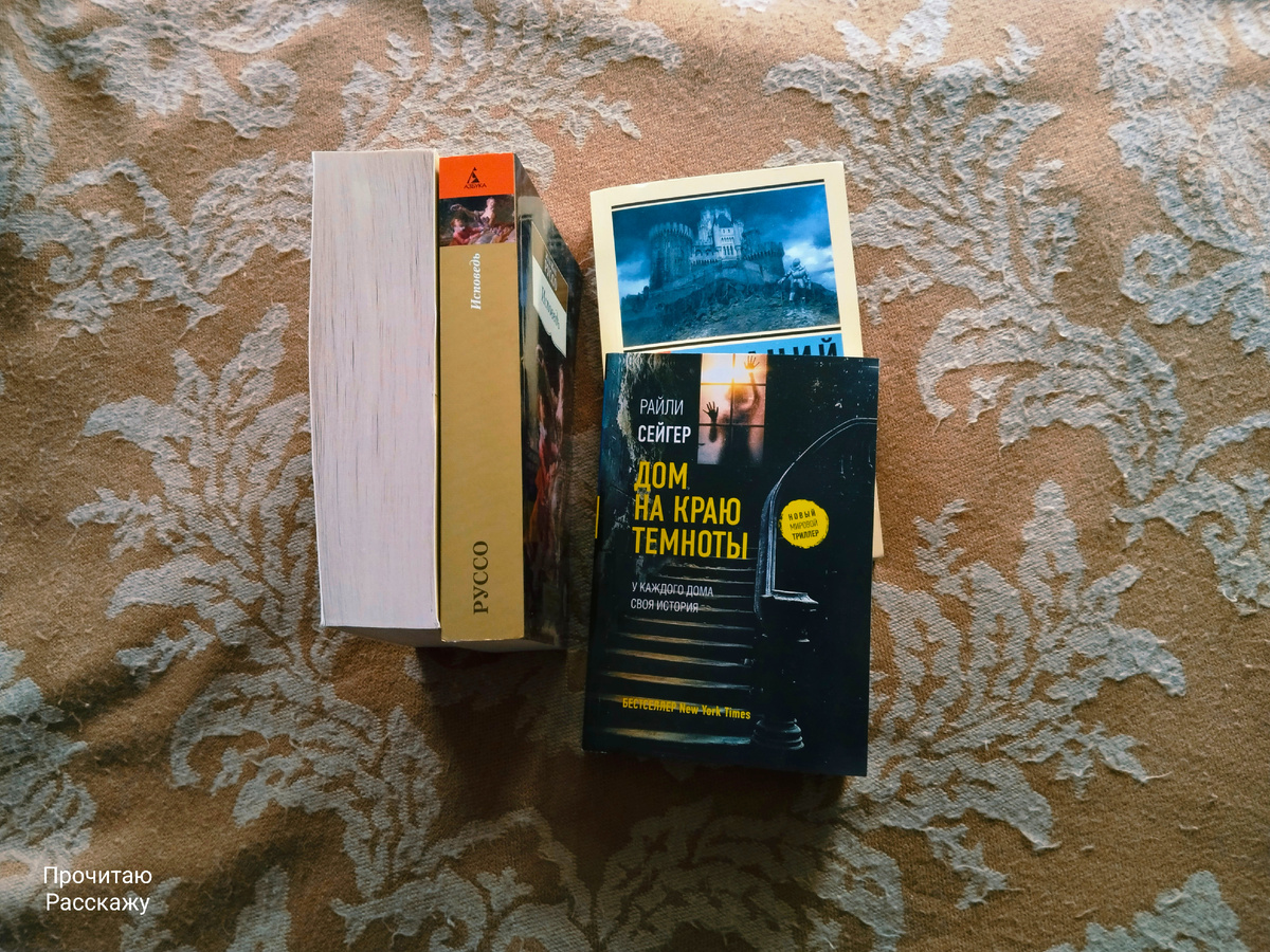 Книжные покупки: один триллер и классика. Фото автора канала Прочитаю Расскажу.